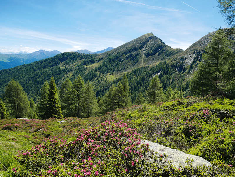 Die Matatzspitze, von Nordwesten gesehen.