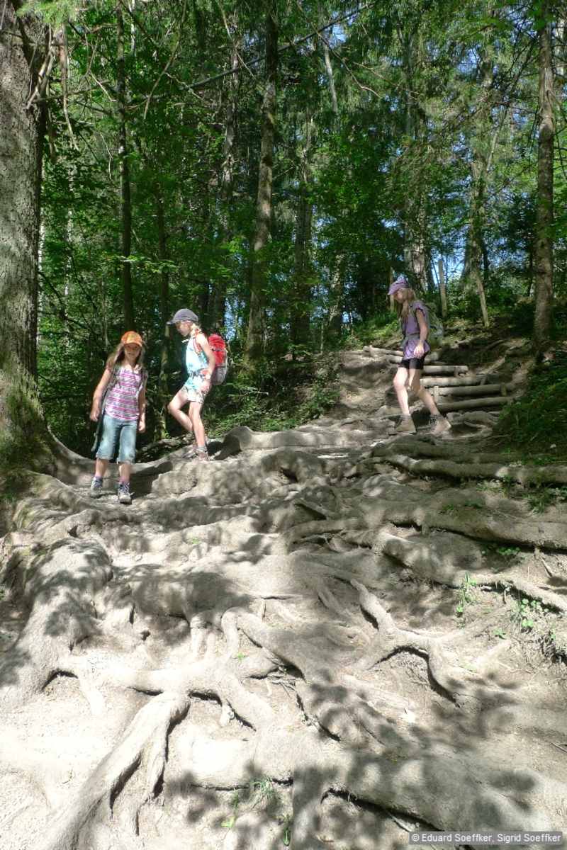 ▷ Wandern: Starzlachklamm - 2:15 h - 4 km - Bergwelten, image size:800x1200