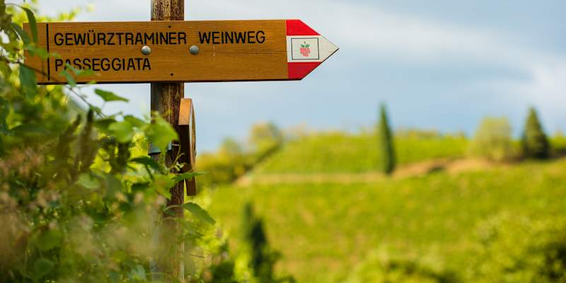 Ein Wegweiser auf dem Gewürztraminer Weinweg.