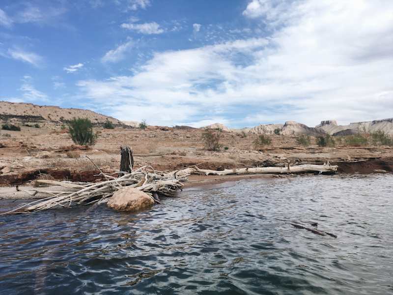 Ana Zirner Colorado River