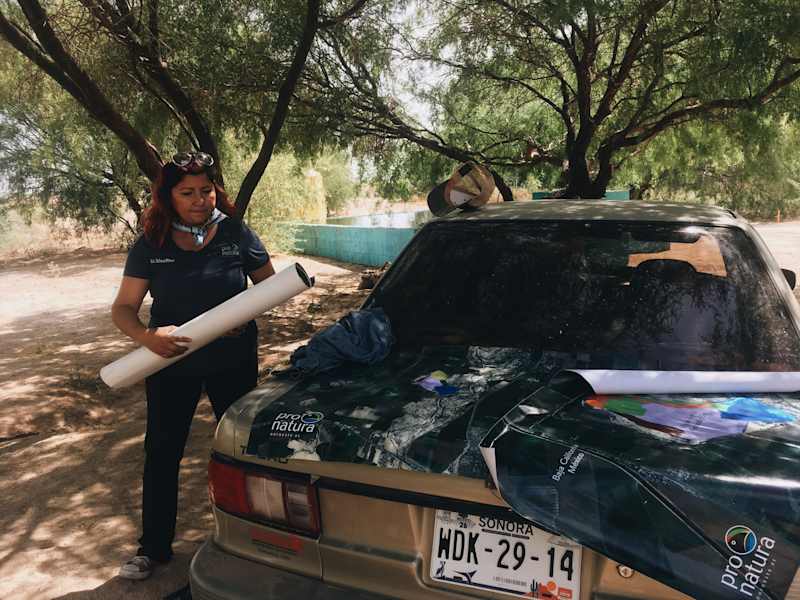 Ana Zirner Colorado River