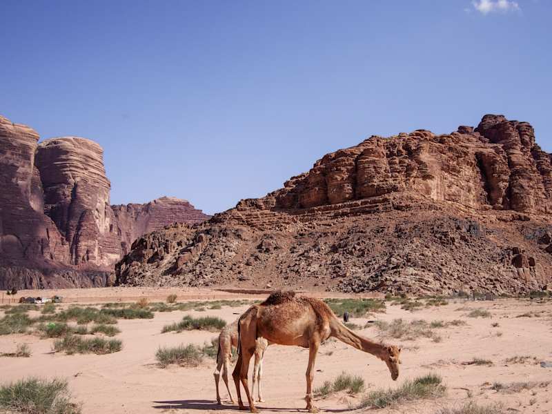 Jordanien Reise Klettern Wadi Rum