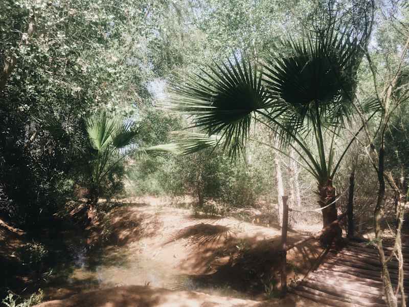 Ana Zirner Colorado River