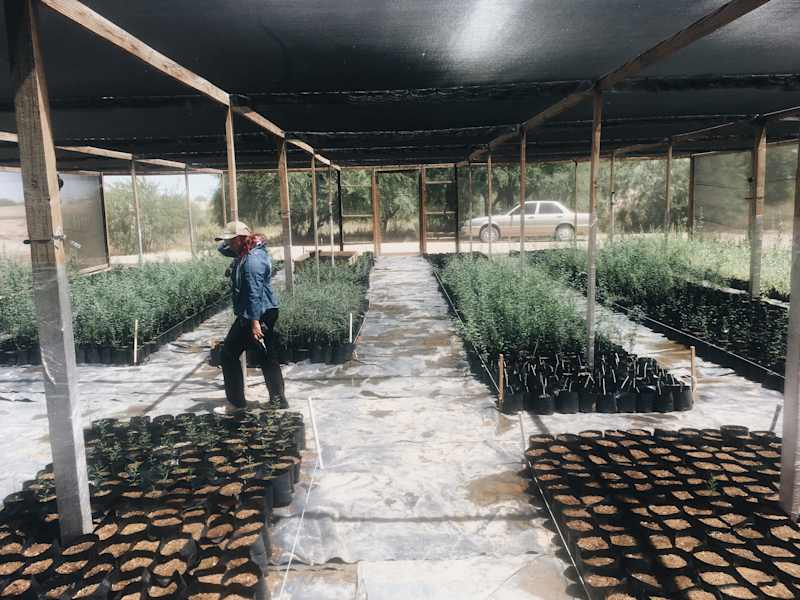 Ana Zirner Colorado River