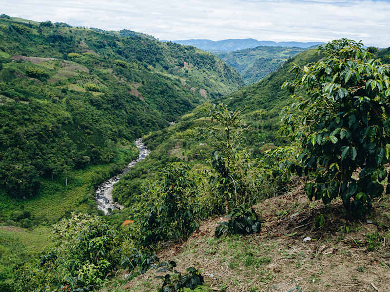 San Agustín Kolumbien