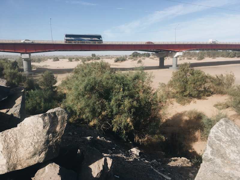Ana Zirner Colorado River
