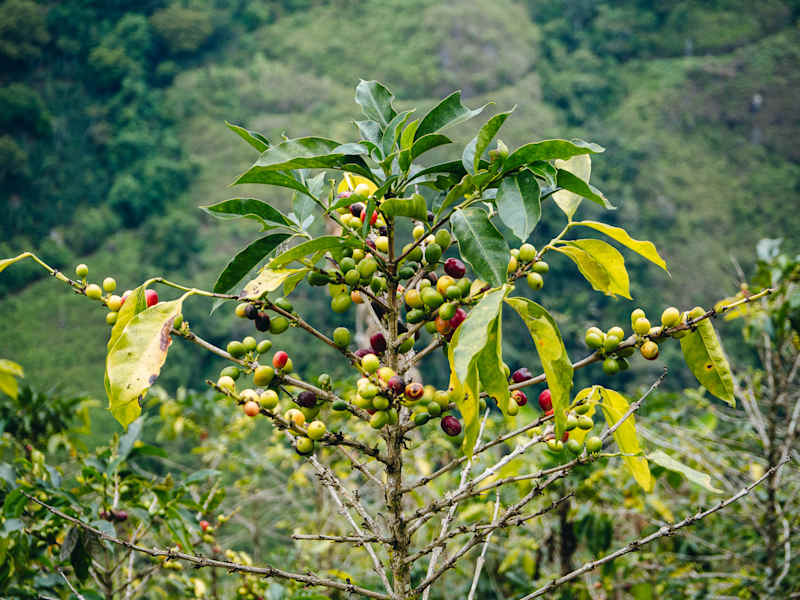 San Agustín Kolumbien