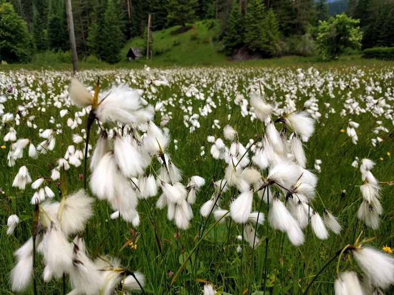 Pilgern Wien Mariazell