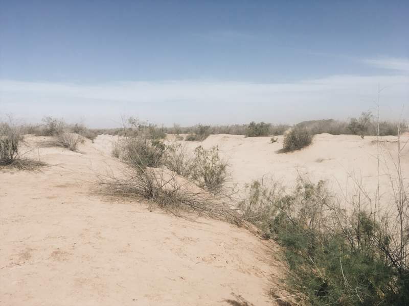 Ana Zirner Colorado River