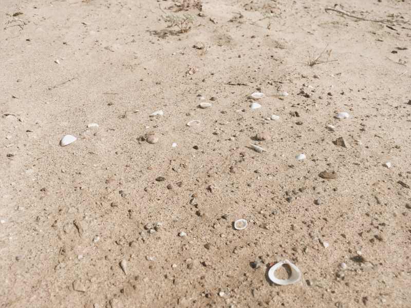 Ana Zirner Colorado River