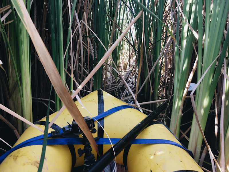 Ana Zirner Colorado River