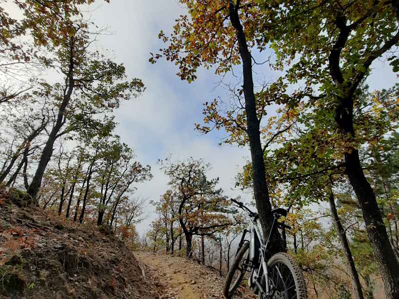 Zurück zur „Ranch“: Am Uphill Trail geht es, wie der Name schon sagt, ordentlich steil bergauf