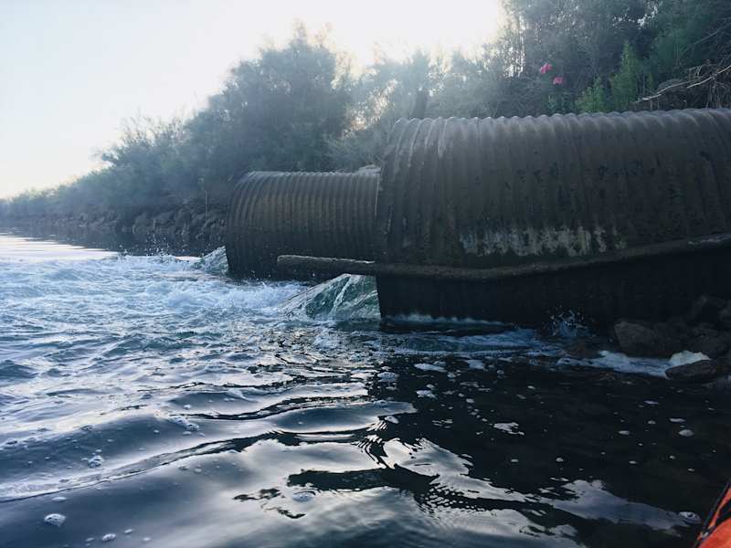 Ana Zirner Colorado River