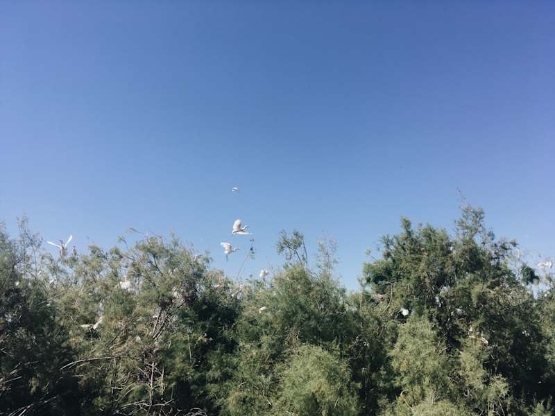 Ana Zirner Colorado River