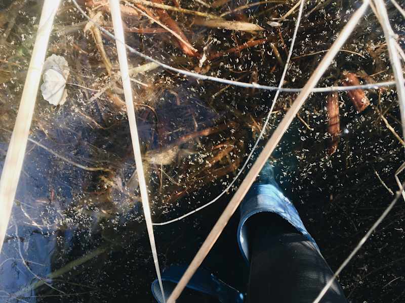 Ana Zirner Colorado River