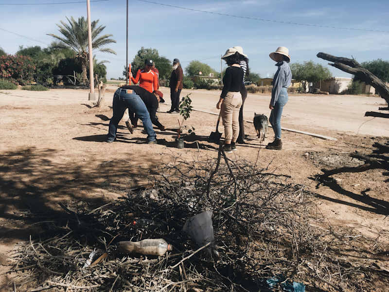 Ana Zirner Colorado River