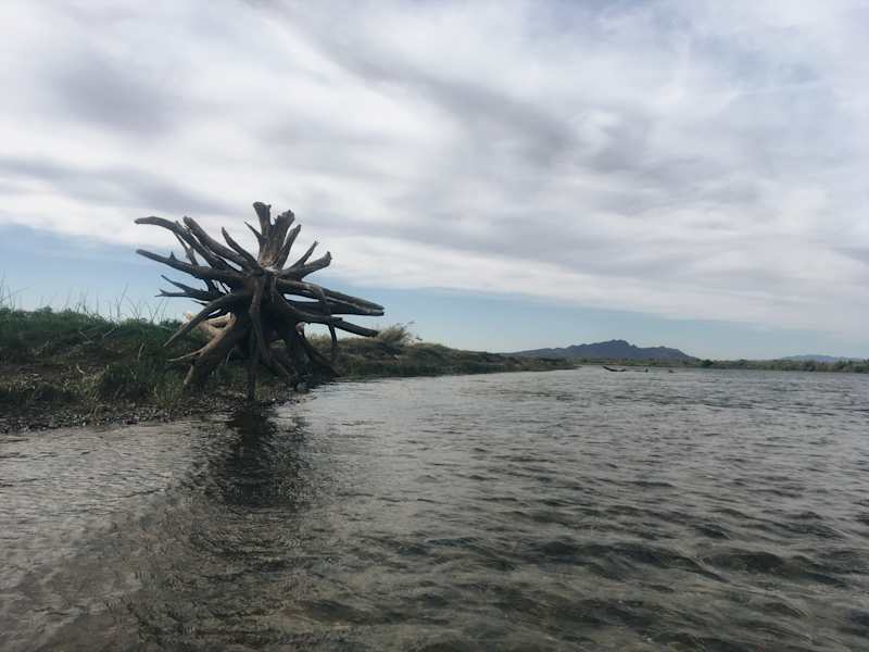 Ana Zirner Colorado River