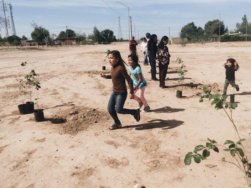 Ana Zirner Colorado River