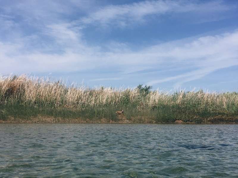 Ana Zirner Colorado River