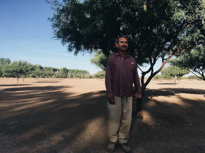 Ana Zirner Colorado River