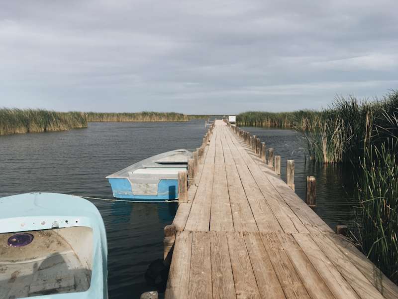 Ana Zirner Colorado River