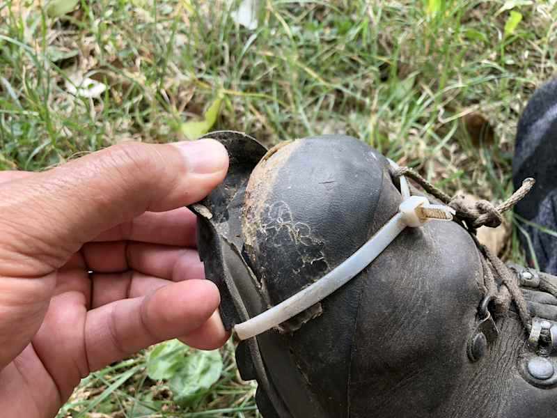 Zwei Schnauzer durchwandern die Schweiz