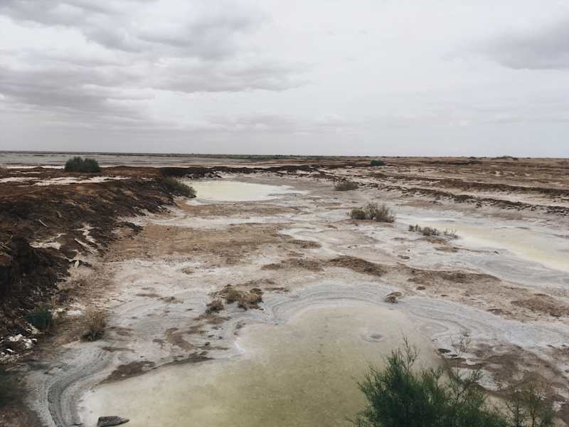 Ana Zirner Colorado River