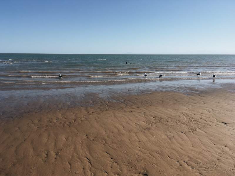 Ana Zirner Colorado River