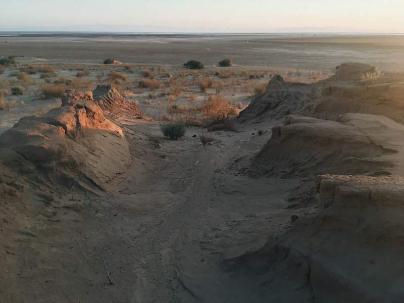 Ana Zirner Colorado River