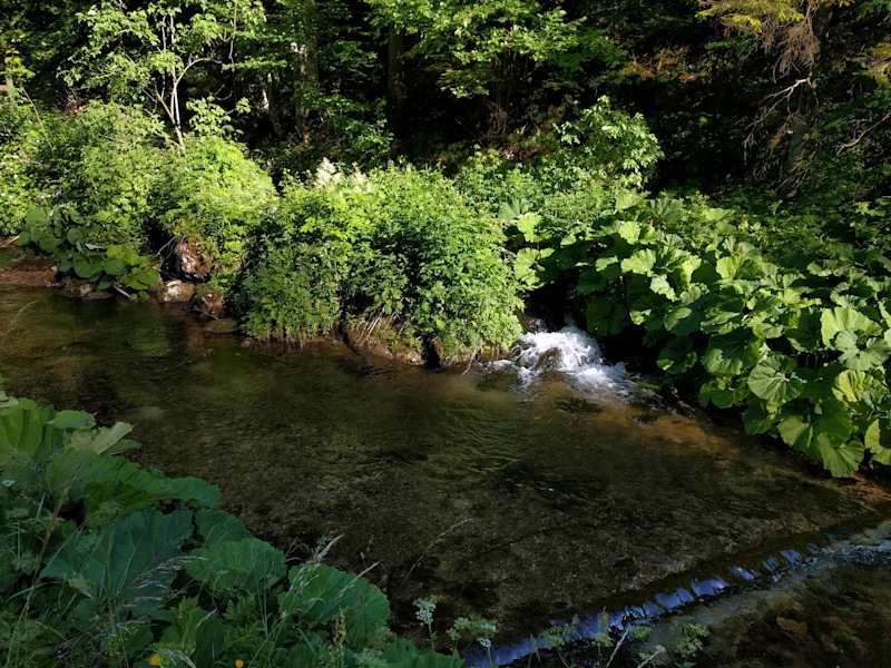 Pilgern Wien Mariazell