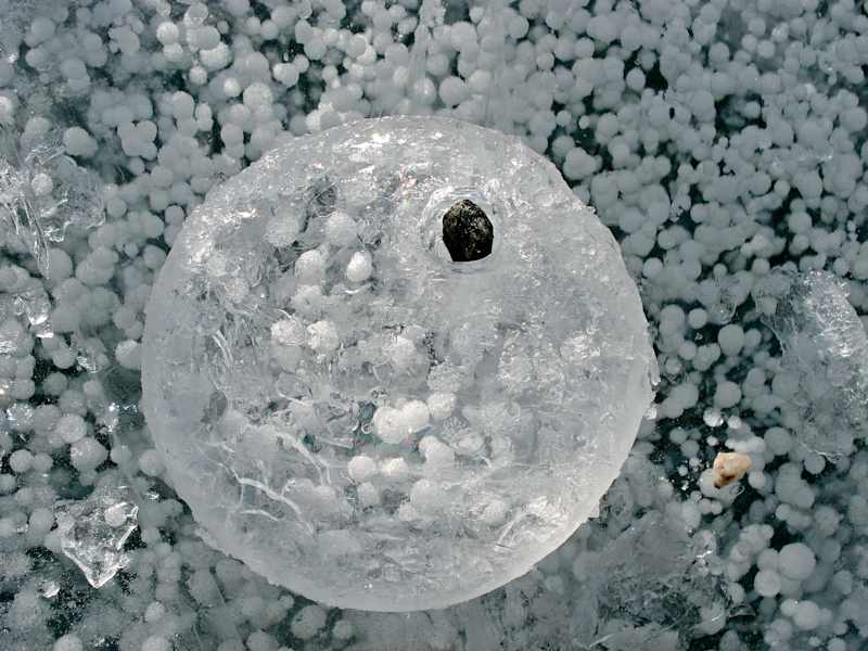 Eis.Leben: Forschungsreise in der Antarktis