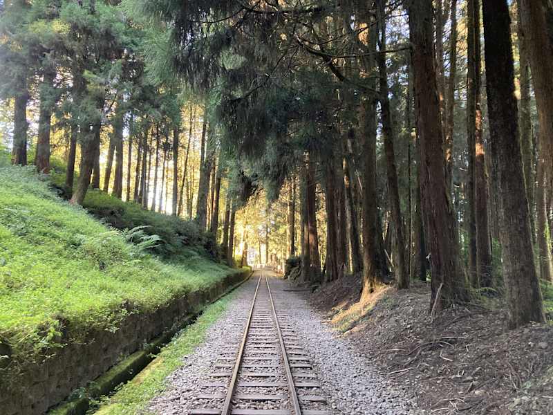 Taiwan Yushan Wandern