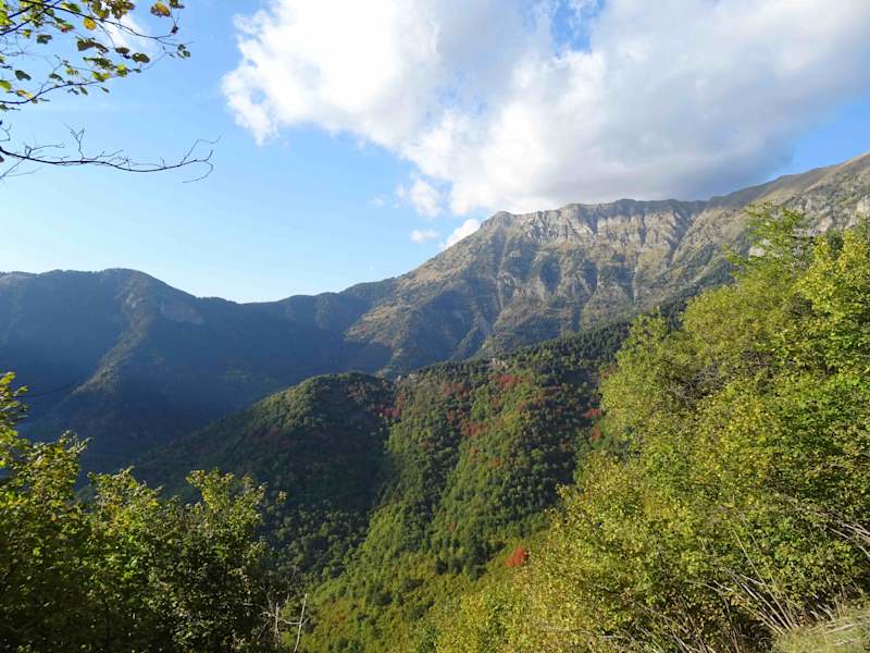 Artenreiche Vegetation und tolle Berge