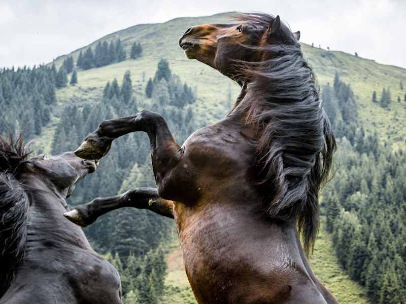 Ausgangspunkt der Wanderung ist die aussichtsreiche Dolomitenhütte auf 1.616 m