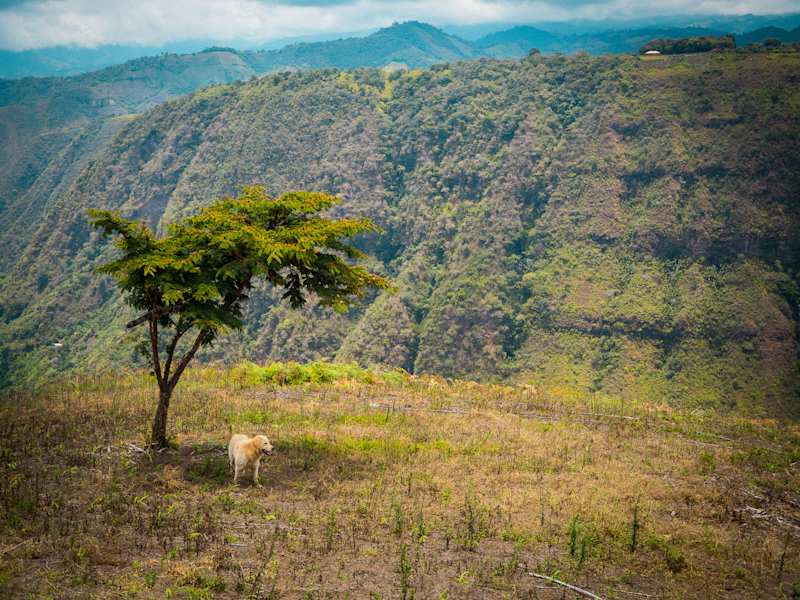 Reisestory Ecuador Intag Valley