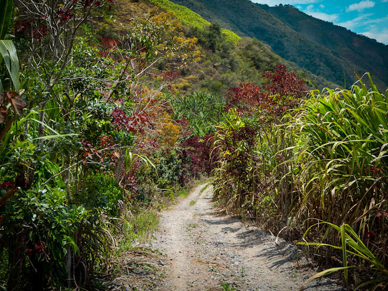 Reisestory Ecuador Intag Valley
