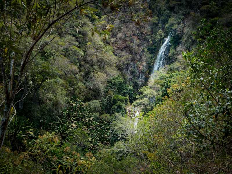 Reisestory Ecuador Intag Valley