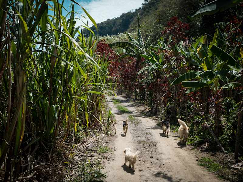 Reisestory Ecuador Intag Valley
