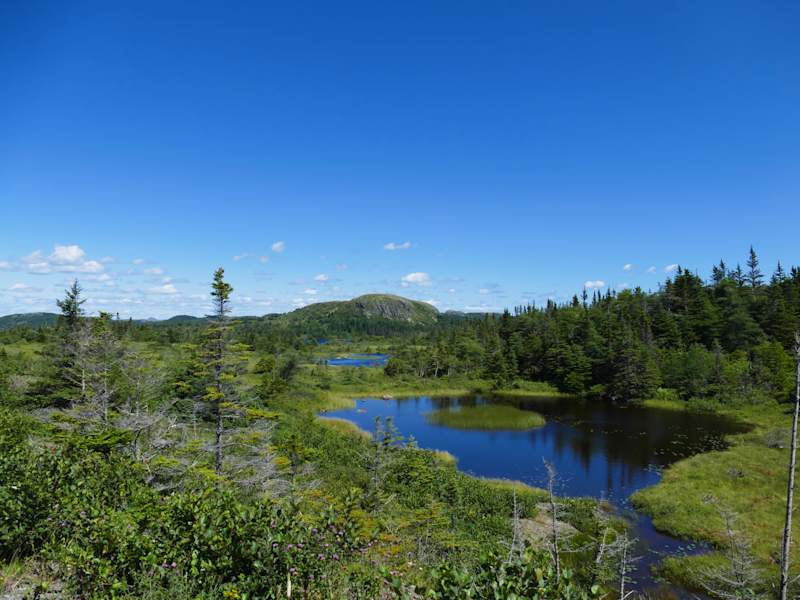 Reise Neufundland Kanada Rad