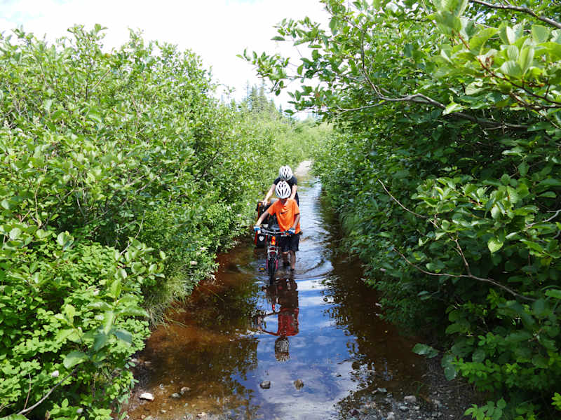 Reise Neufundland Kanada Rad