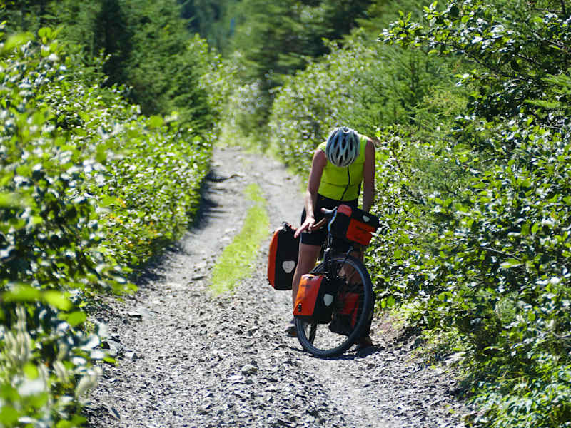 Reise Neufundland Kanada Rad