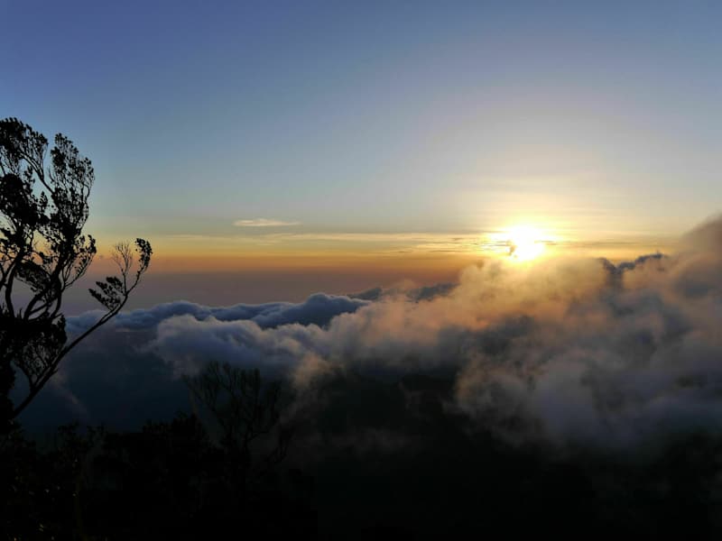 Blue Mountain Peak Jamaika