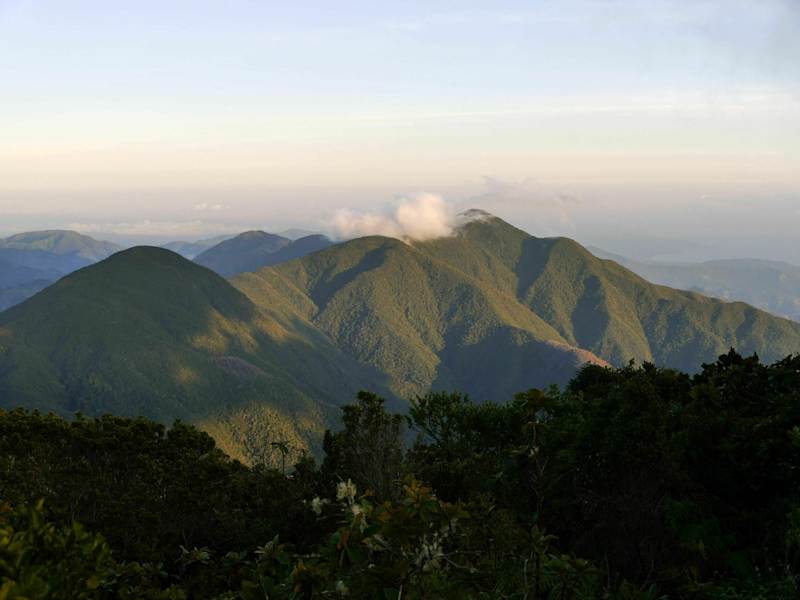 Blue Mountain Peak Jamaika