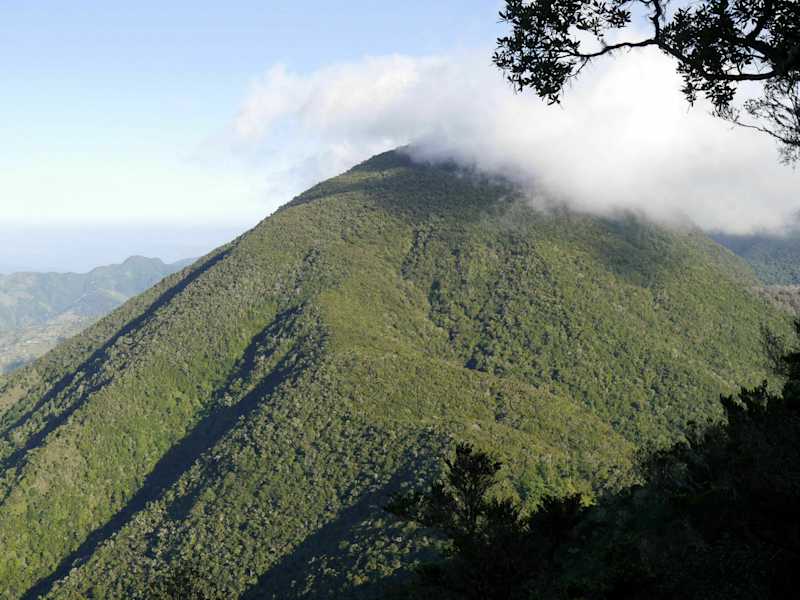Blue Mountain Peak Trail