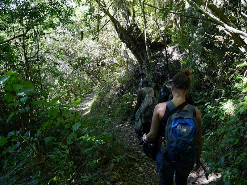 Blue Mountain Peak Trail