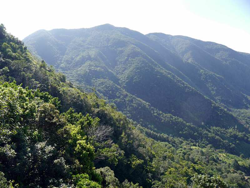 Blue Mountains Jamaika