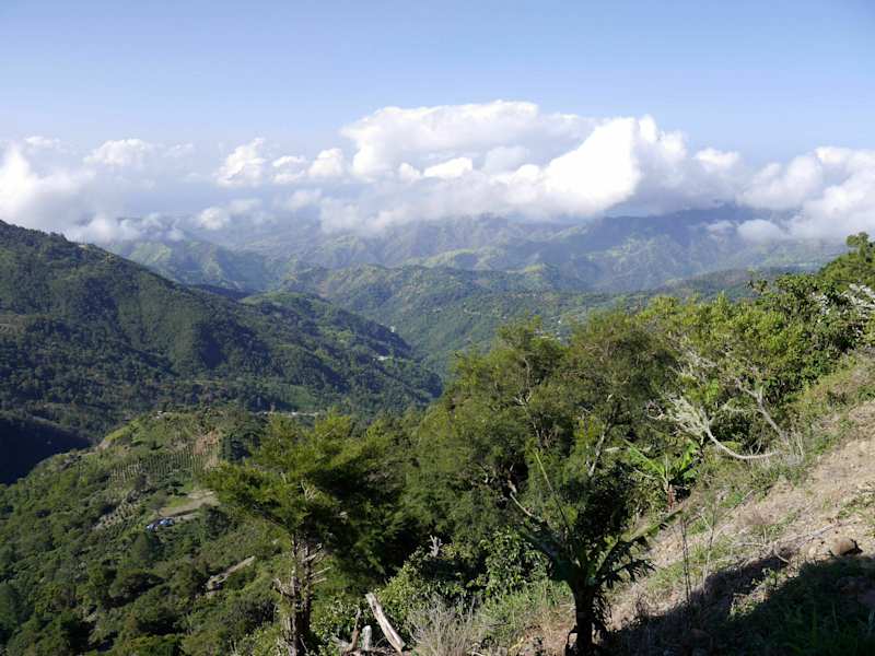 Blue Mountains Jamaika
