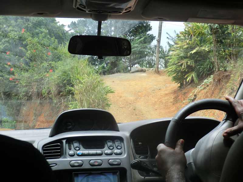 Blue Mountains Jamaika