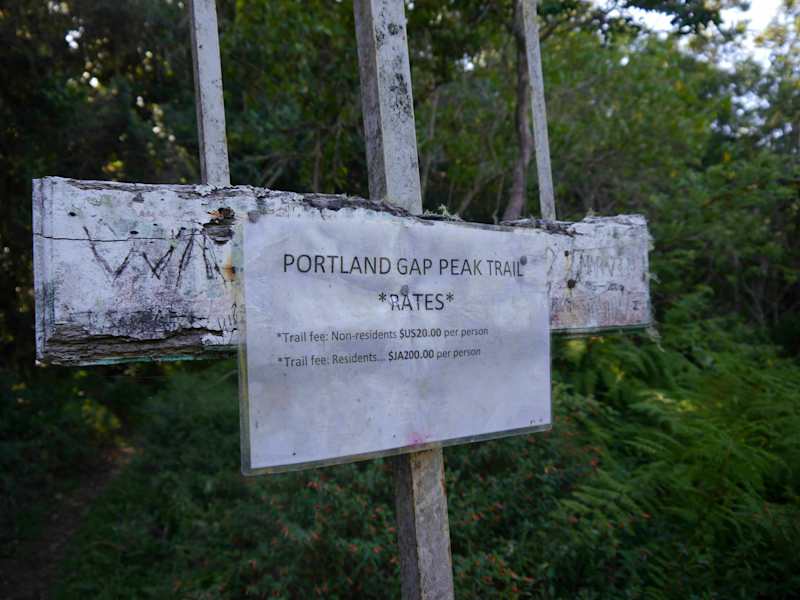 Blue Mountains Jamaika Wandern