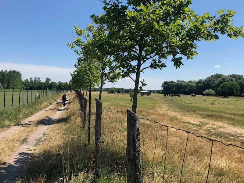 Burgenland Extrem Sommer 2021